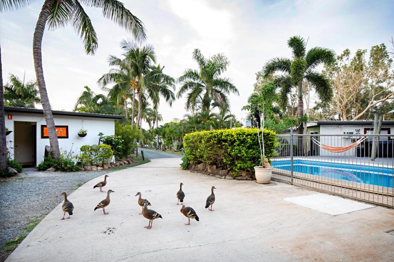 Bush Village Holiday Cabins Airlie Beach Dış mekan fotoğraf
