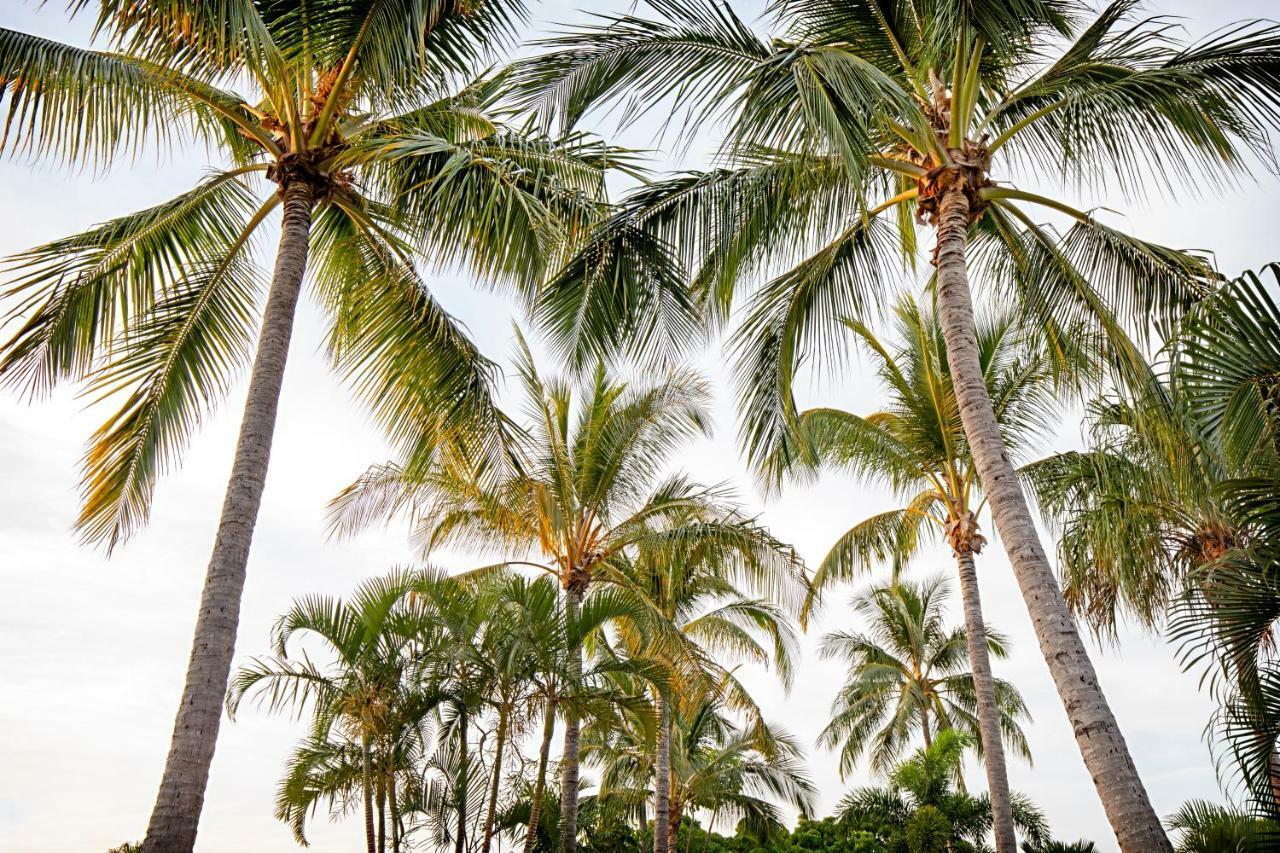 Bush Village Holiday Cabins Airlie Beach Dış mekan fotoğraf